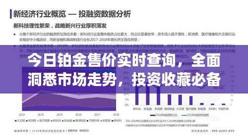 今日铂金售价实时查询,全面洞悉市场走势,投资收藏必备指南