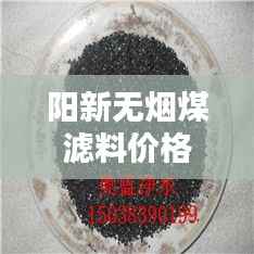阳新无烟煤滤料价格行情深度解析
