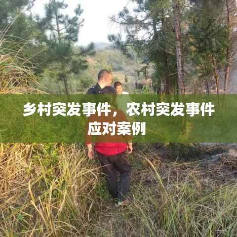 乡村突发事件,农村突发事件应对案例