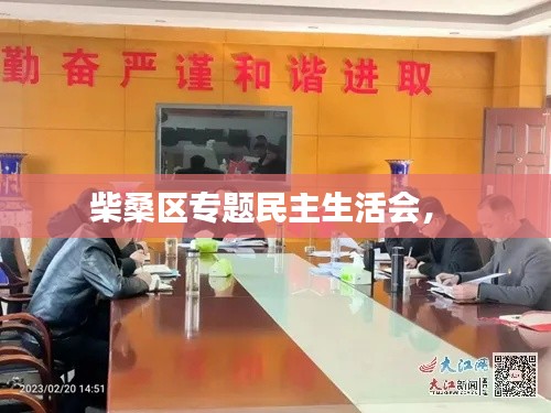 柴桑区专题民主生活会,