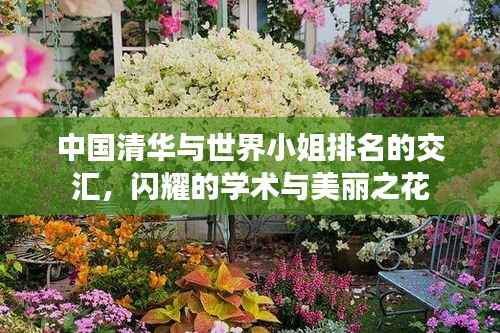 中国清华与世界小姐排名的交汇,闪耀的学术与美丽之花