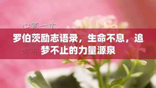 罗伯茨励志语录,生命不息,追梦不止的力量源泉