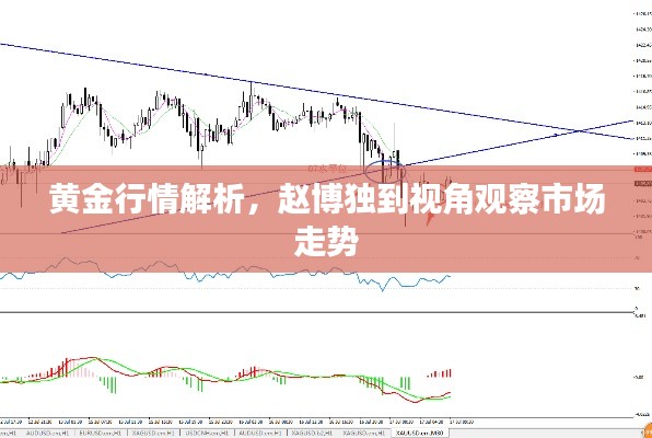 黄金行情解析,赵博独到视角观察市场走势