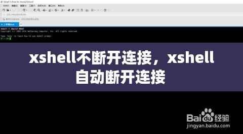 xshell不断开连接,xshell自动断开连接