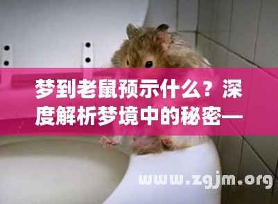梦到老鼠预示什么?深度解析梦境中的秘密——百度收录标题