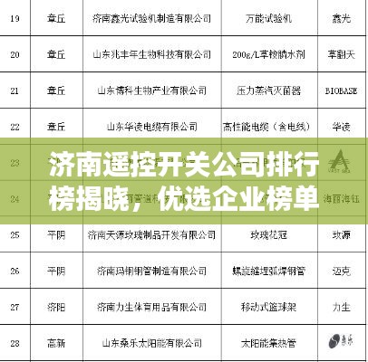 济南遥控开关公司排行榜揭晓,优选企业榜单!