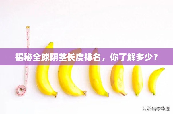 揭秘全球阴茎长度排名,你了解多少?