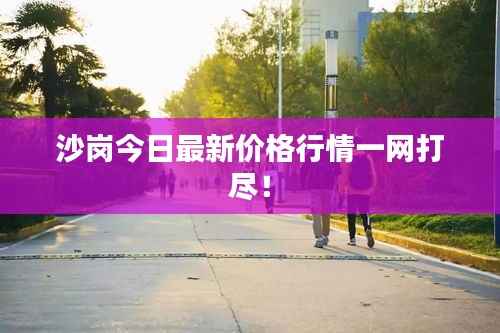 沙岗今日最新价格行情一网打尽!
