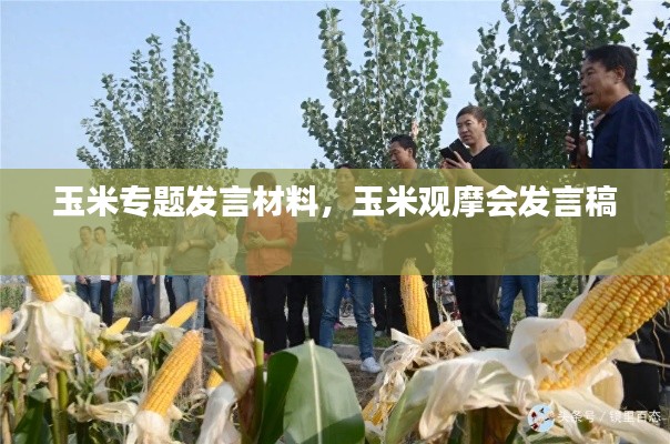 玉米专题发言材料,玉米观摩会发言稿