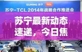 苏宁最新动态速递,今日焦点新闻摘要