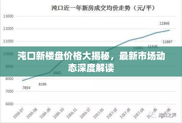 沌口新楼盘价格大揭秘,最新市场动态深度解读