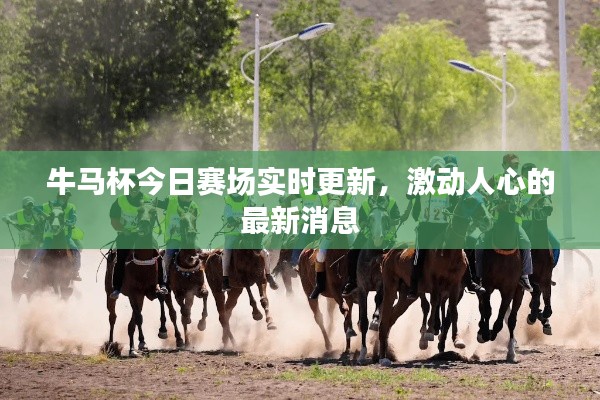 牛马杯今日赛场实时更新,激动人心的最新消息