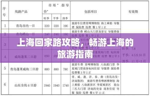 上海回家路攻略，畅游上海的旅游指南
