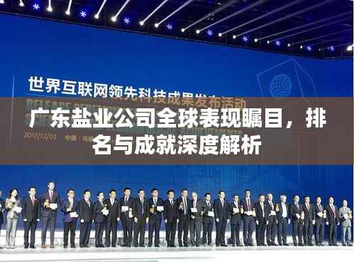 广东盐业公司全球表现瞩目,排名与成就深度解析
