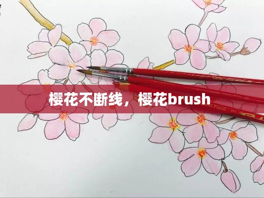 樱花不断线,樱花brush