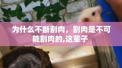 为什么不断割肉,割肉是不可能割肉的,这辈子
