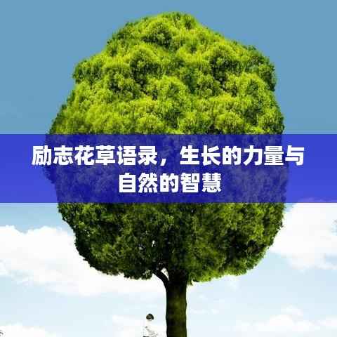 励志花草语录,生长的力量与自然的智慧