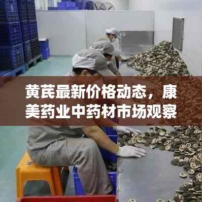 黄芪最新价格动态,康美药业中药材市场观察