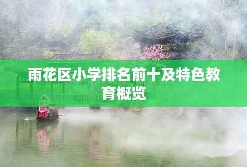 雨花区小学排名前十及特色教育概览
