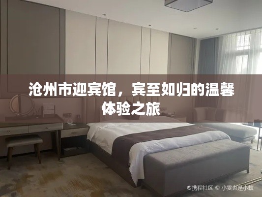 沧州市迎宾馆,宾至如归的温馨体验之旅