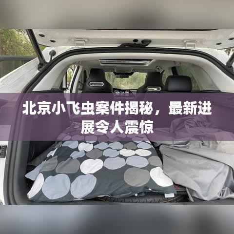 北京小飞虫案件揭秘,最新进展令人震惊