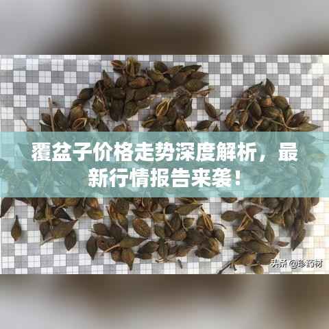 覆盆子价格走势深度解析,最新行情报告来袭!
