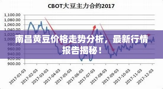南昌黄豆价格走势分析,最新行情报告揭秘!