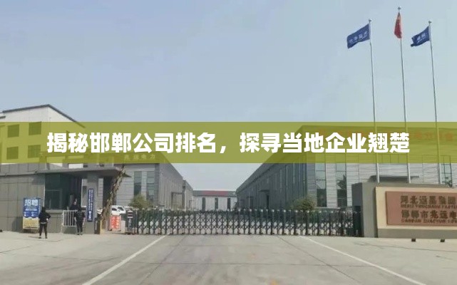 揭秘邯郸公司排名,探寻当地企业翘楚