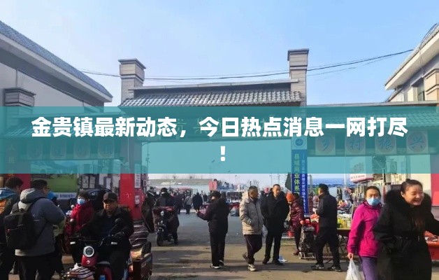金贵镇最新动态,今日热点消息一网打尽!