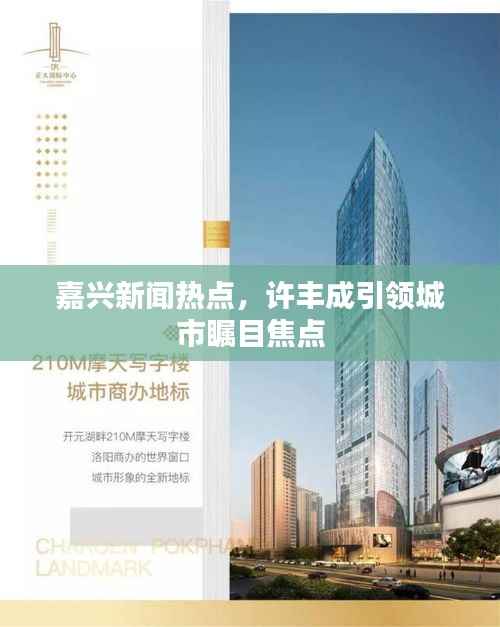 嘉兴新闻热点,许丰成引领城市瞩目焦点