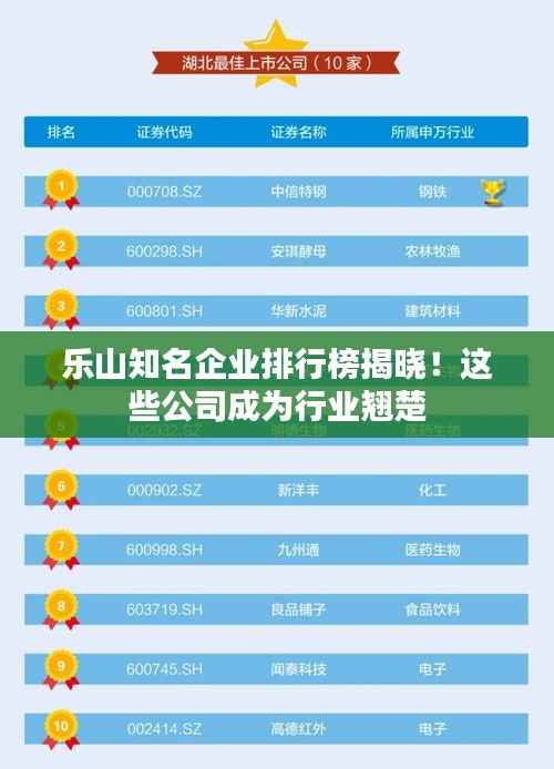 乐山知名企业排行榜揭晓!这些公司成为行业翘楚