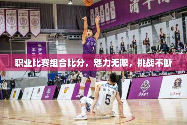 职业比赛组合比分,魅力无限,挑战不断