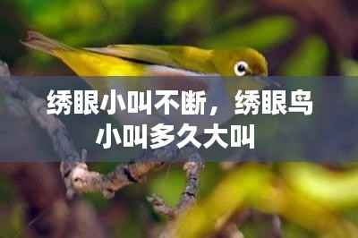 绣眼小叫不断,绣眼鸟小叫多久大叫