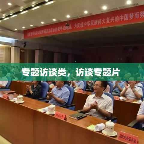 专题访谈类,访谈专题片