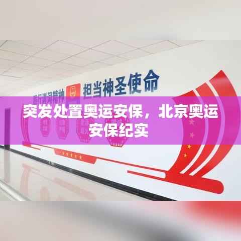 突发处置奥运安保,北京奥运安保纪实
