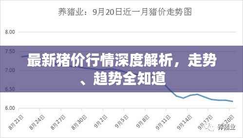最新猪价行情深度解析,走势、趋势全知道