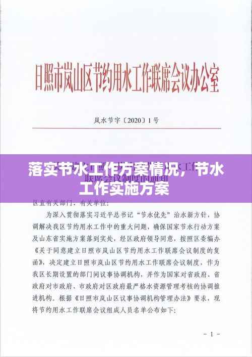 落实节水工作方案情况,节水工作实施方案