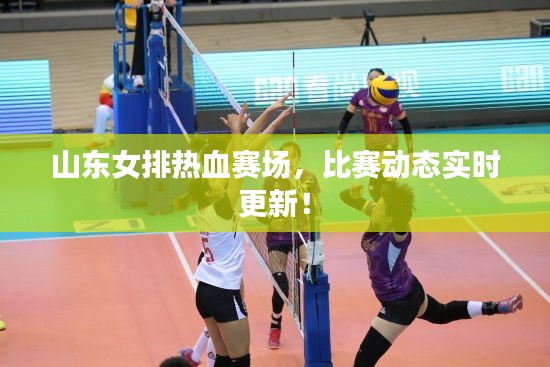 山东女排热血赛场,比赛动态实时更新!