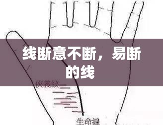 线断意不断,易断的线