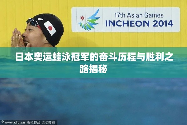 日本奥运蛙泳冠军的奋斗历程与胜利之路揭秘