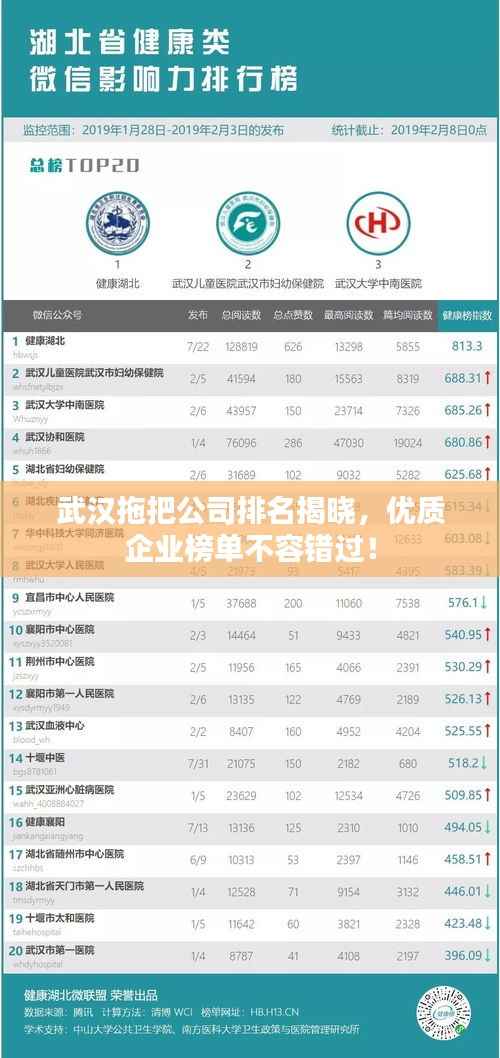 武汉拖把公司排名揭晓,优质企业榜单不容错过!