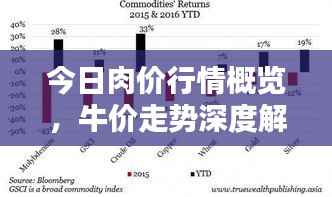 今日肉价行情概览,牛价走势深度解析