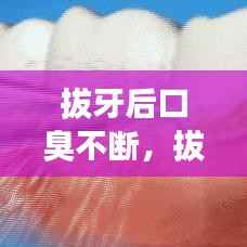 拔牙后口臭不断,拔牙后有点口臭