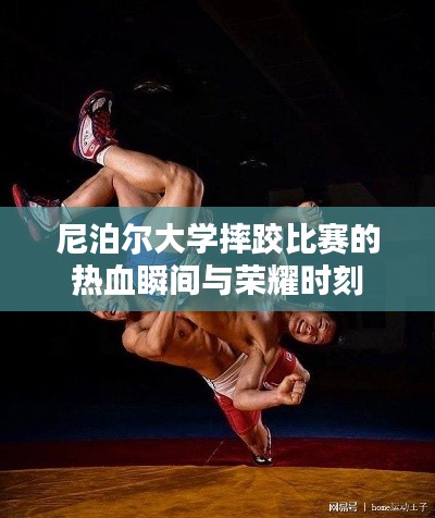 尼泊尔大学摔跤比赛的热血瞬间与荣耀时刻