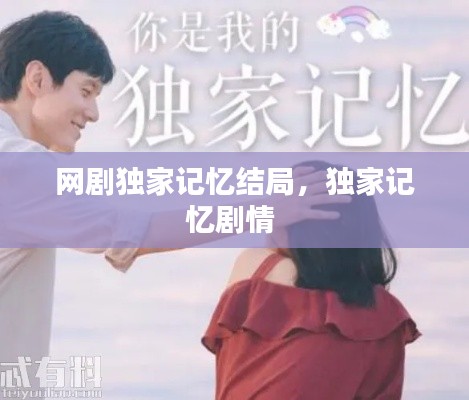 网剧独家记忆结局,独家记忆剧情