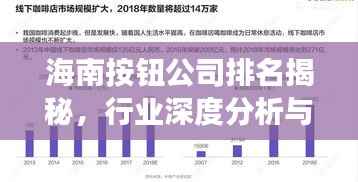 海南按钮公司排名揭秘,行业深度分析与市场洞察