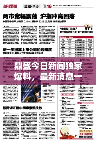 鼎盛今日新闻独家爆料,最新消息一览无余!