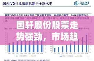 国轩股份股票走势强劲,市场趋势与未来发展深度解析