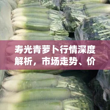 朝飞暮卷 第2页