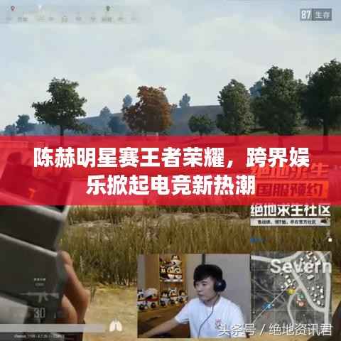 陈赫明星赛王者荣耀,跨界娱乐掀起电竞新热潮